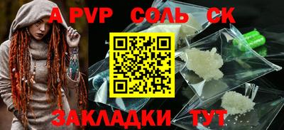 стафф Кингисепп
