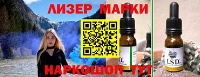 стафф Кингисепп