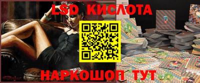стафф Кингисепп