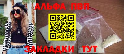 стафф Кингисепп